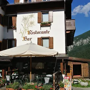 https://albergo-stella-alpina-san-pietro-di-cadore.hotelinveneto.com